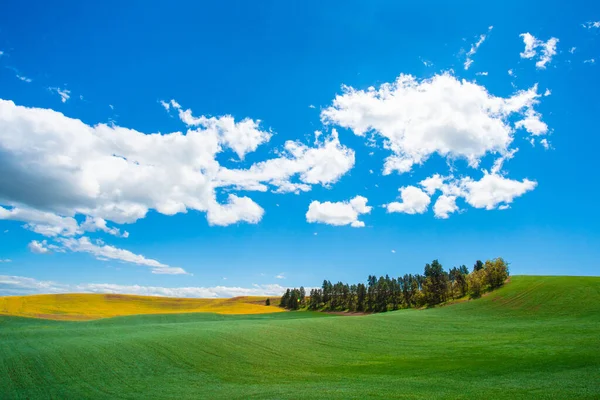 Paisagem Rural Idílica Com Campos Trigo Agrícola Céu Azul Vista — Fotografia de Stock