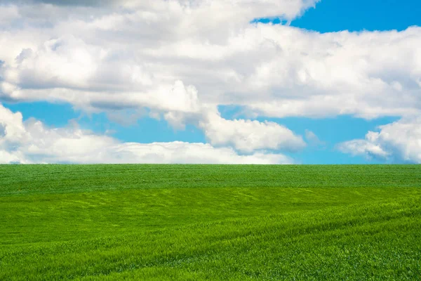 Idyllische Ländliche Landschaft Mit Weizenfeldern Und Blauem Himmel Vom Palouse — Stockfoto