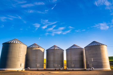 Washington 'daki Palouse eyaletindeki çiftlikten görülen tahıl ambarlarının görüntüsü