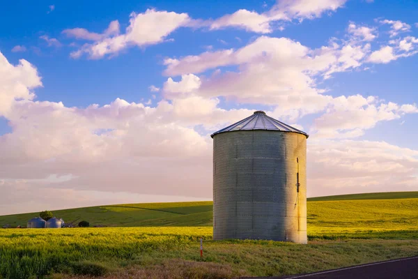 Washington Állam Palouse Búzafarmjáról Származó Ipari Szemcsés Siló Kilátása — Stock Fotó