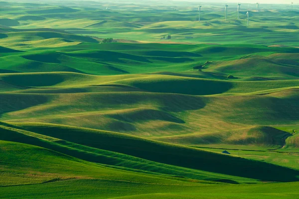 Blick Vom Palouse Bundesstaat Washington Mit Rollenden Grünen Weizenfeldern — Stockfoto
