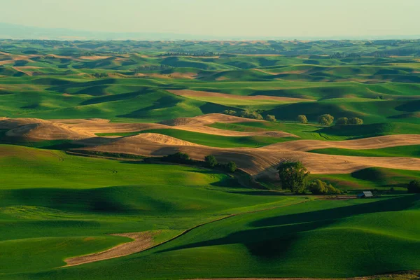 Vista Dalla Palouse Stato Washington Con Campi Agricoli Grano Verde — Foto Stock