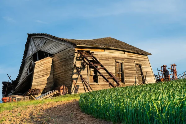 Granero Madera Ruinas Visto Desde Los Campos Trigo Rurales — Foto de Stock