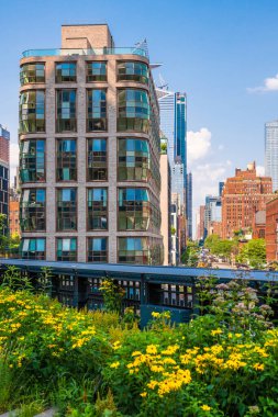 New York City Manhattan 'daki High Line Park' tan sahne