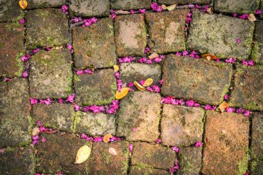 Pembe çiçek yapraklarıyla döşenmiş eski kaldırım taşı tuğlaları
