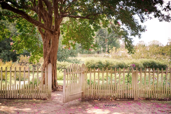 户外花园的景色 大门上有白色的栅栏 通向树木和花园 — 图库照片