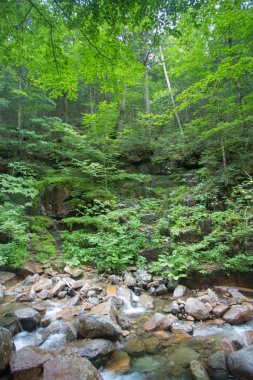 Franconia Notch New Hampshire