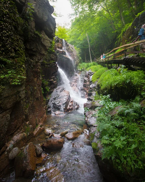 水槽峡谷弗兰肯缺口新汉普郡 — 图库照片