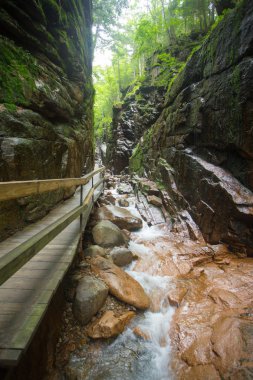 Oluklu gorge franconia, nh çentik