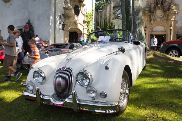 Classic Jaguar — Stock Photo, Image