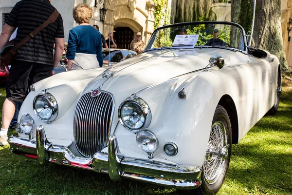 Classic Jaguar — Stock Photo, Image