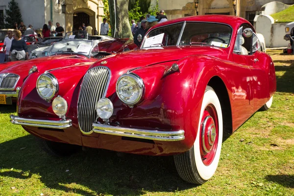 Classic Jaguar — Stock Photo, Image