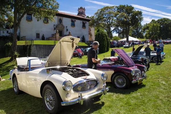 Classic Auto Show — Stock Photo, Image