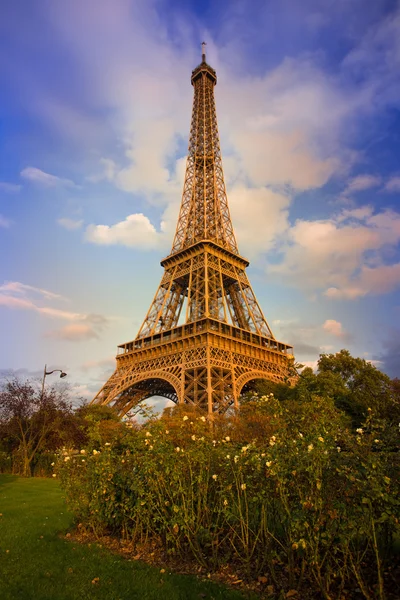 Torre Eiffel —  Fotos de Stock