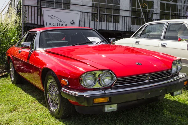 Jaguar clássico — Fotografia de Stock