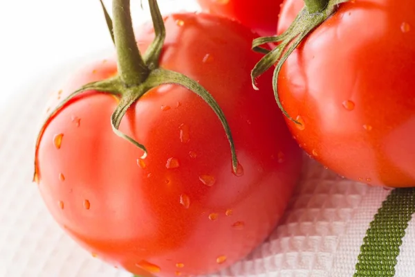 Pomodori — Foto Stock