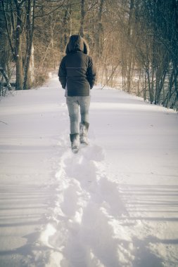 Kış bir yürüyüş