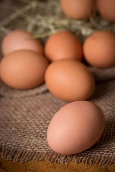 Brown Eggs — Stock Photo, Image