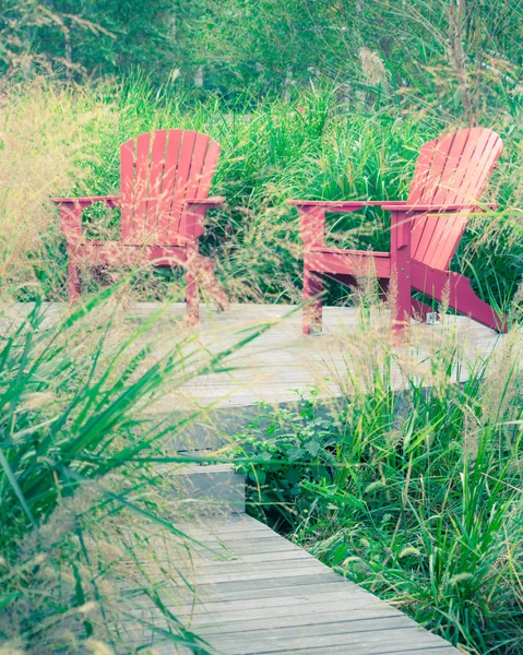 Háztáji székek és a fű — Stock Fotó