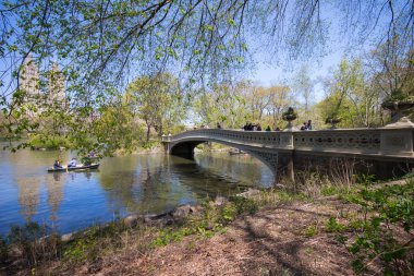 Central Park'a nyc