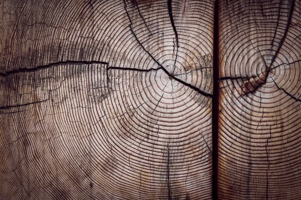 나무 질감 — 스톡 사진