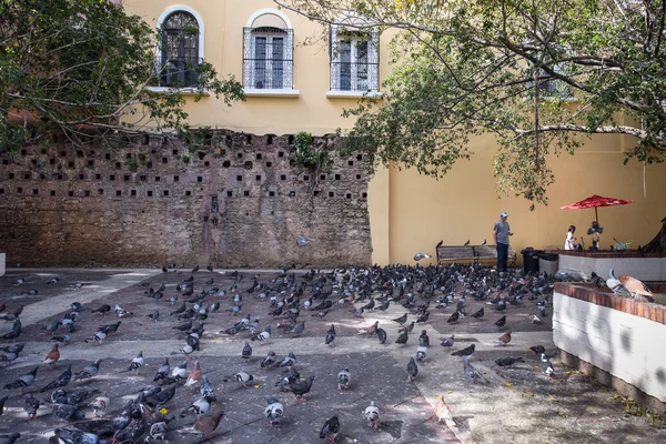 Gamla san juan puerto rico — Stockfoto