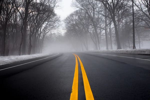 Yol üzerindeki sis — Stok fotoğraf