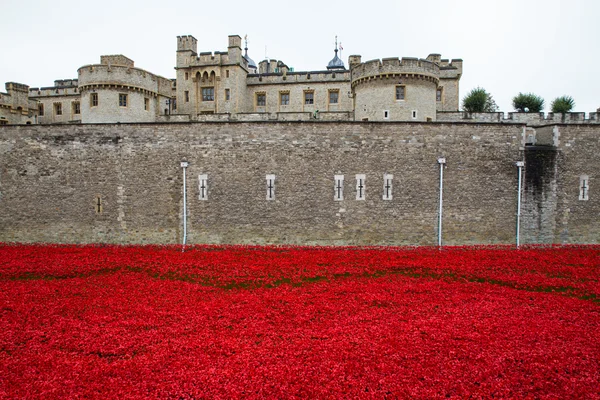 Torre de Londres Memorial Poppies — Fotografia de Stock