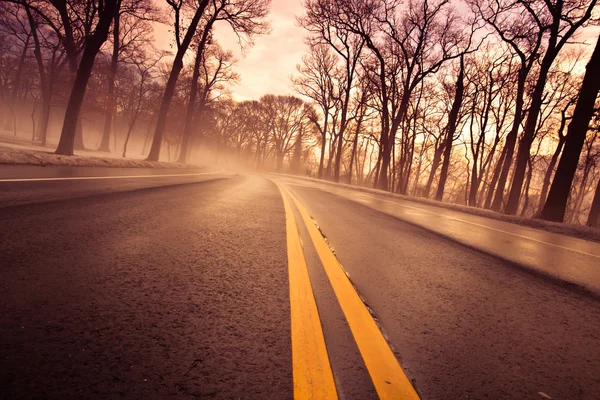 Niebla matutina en carretera — Foto de Stock