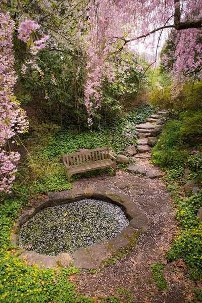 Giardino primaverile — Foto Stock