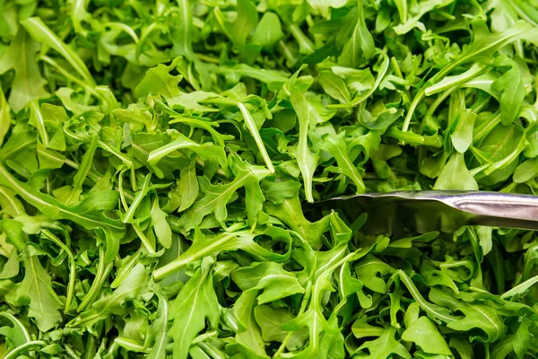 Arugula Verdes — Fotografia de Stock