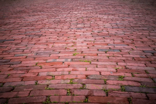Brick Road — Zdjęcie stockowe