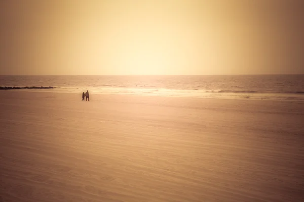 Goldener Strand — Stockfoto