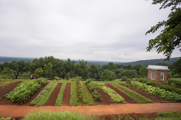 Thomas Jefferson Monticello Farm — Zdjęcie stockowe