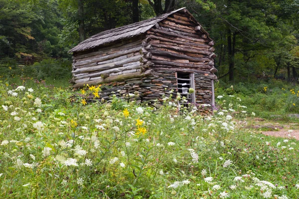 Baita di legno — Foto Stock