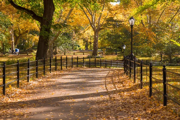 NYC Central Park — Stock fotografie