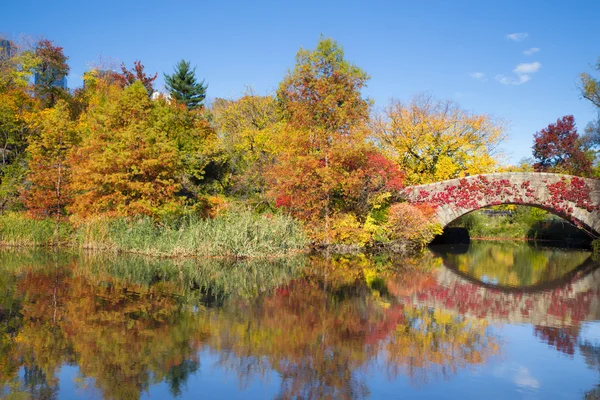 Central Park NYC Outono — Fotografia de Stock