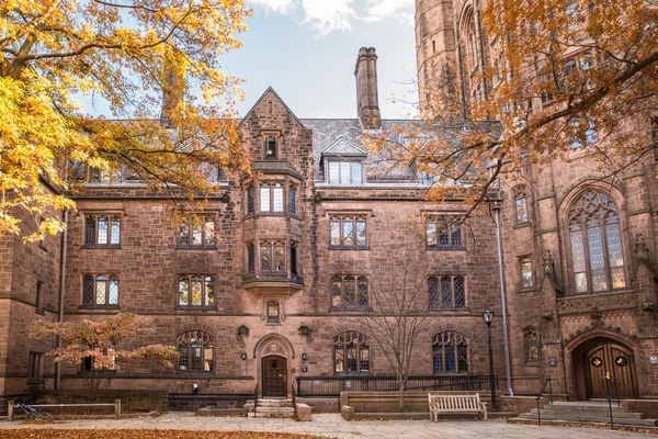 Yale Üniversitesi Binası — Stok fotoğraf