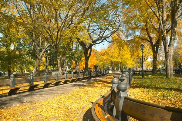 Central Park nyc — Stockfoto