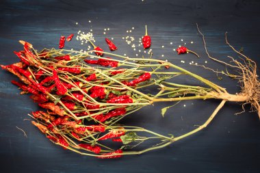 Kırmızı Pul Biber