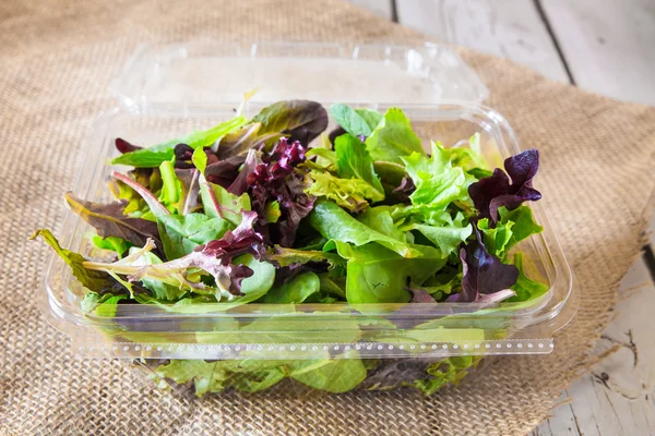 Lente salade Mix — Stockfoto