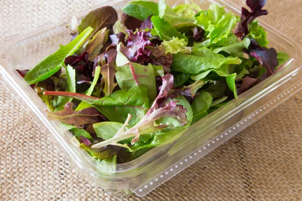 Salada de Primavera Mix — Fotografia de Stock