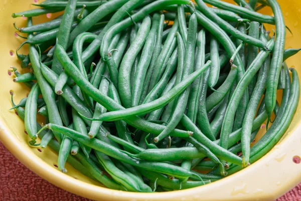 Judías verdes frescas — Foto de Stock