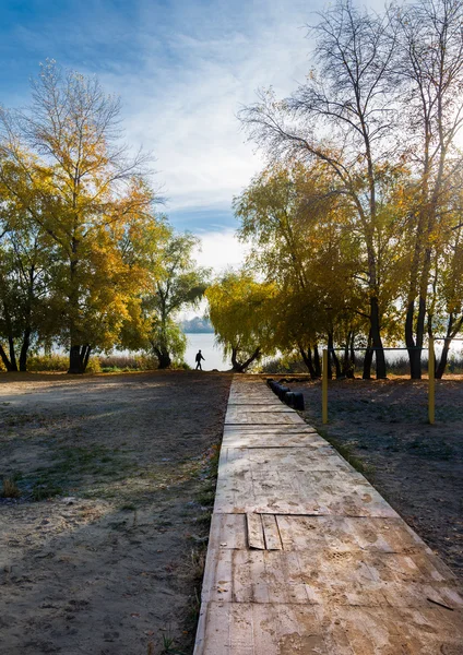 Magic fall of a pond autumn — Stock Photo, Image