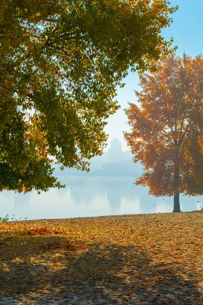 Malownicze drzewo jesień nad jeziorem — Zdjęcie stockowe