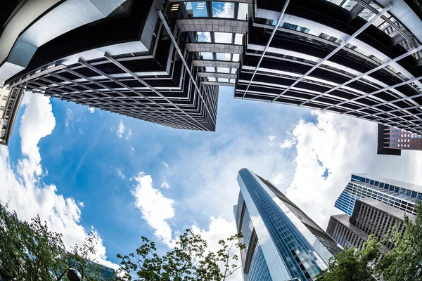 Skyscrapers of Frankfurt am Main — Stock Photo, Image