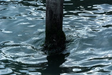 Su dokusu arkaplanı kapatın. Parlak renkli su yansıması.