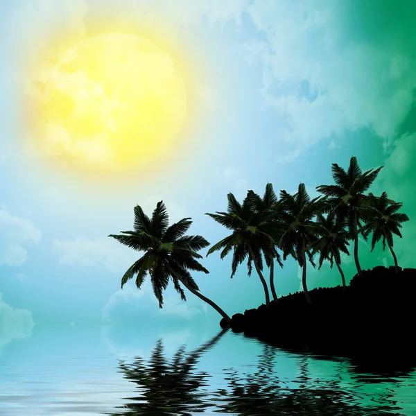 Palm trees a on  sunset background — Stock Photo, Image