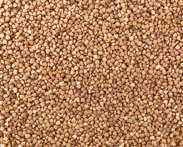 Buckwheats texture — Stock Photo, Image