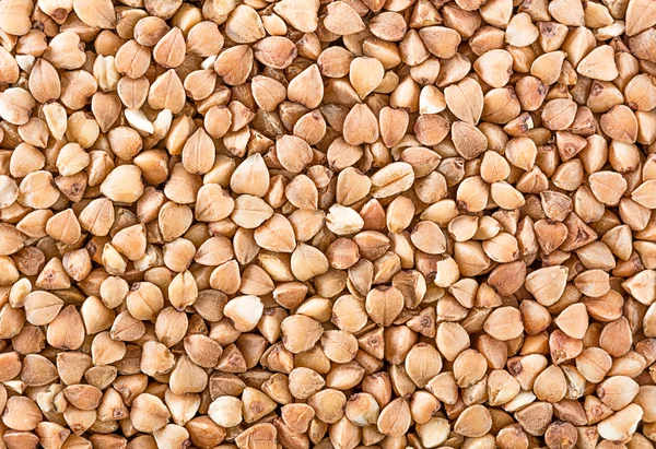 Buckwheats texture — Stock Photo, Image